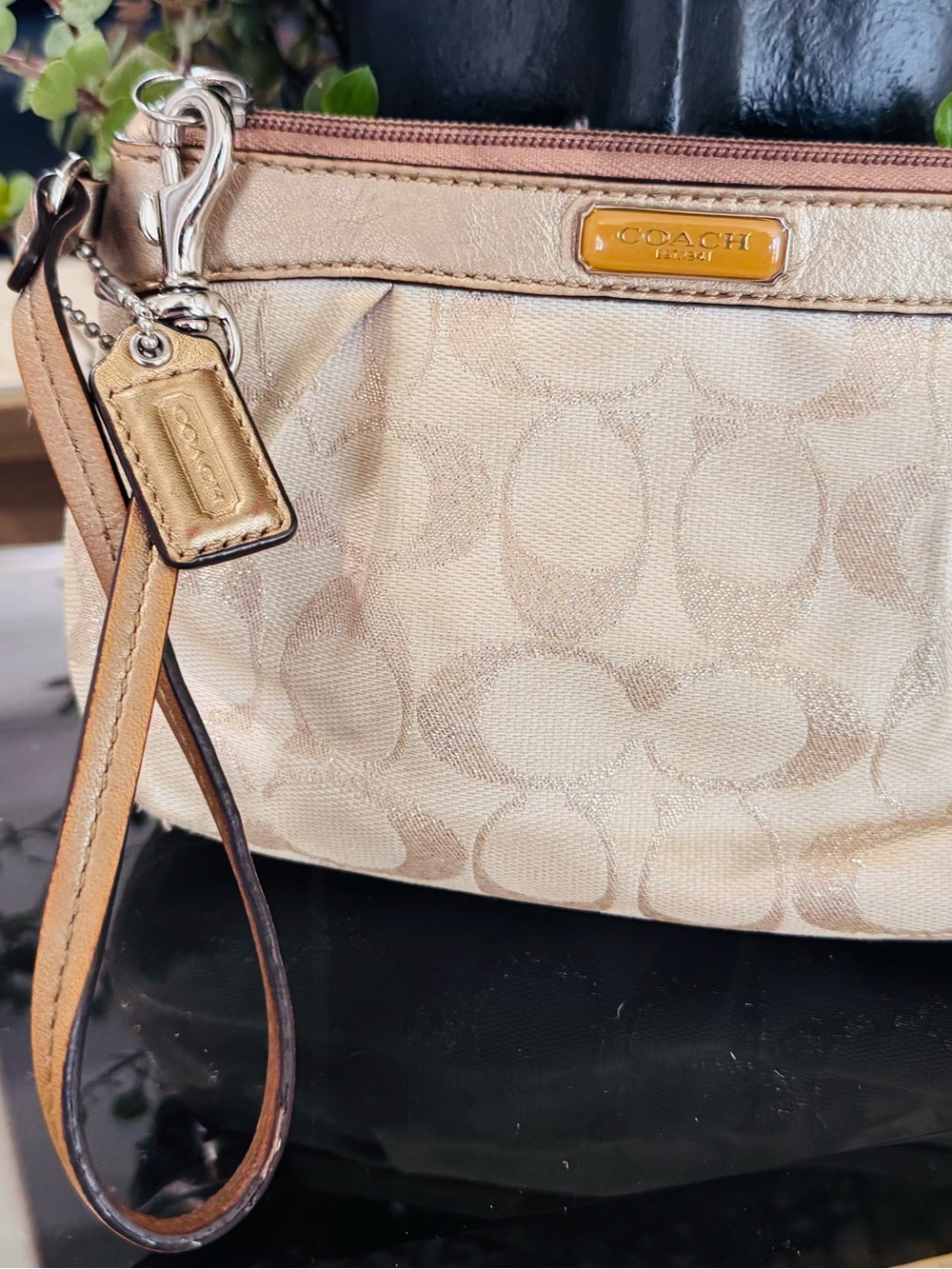 Coach Beige Signature Wristlet with Leather Trim